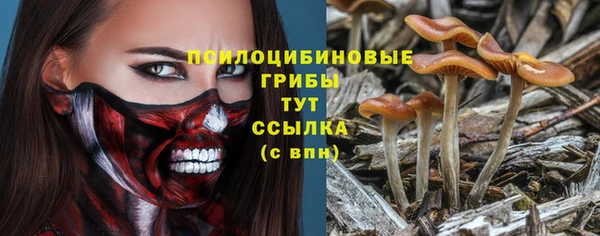 ешки Балахна