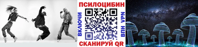 Псилоцибиновые грибы Psilocybe  дарнет шоп  omg зеркало  Шенкурск 